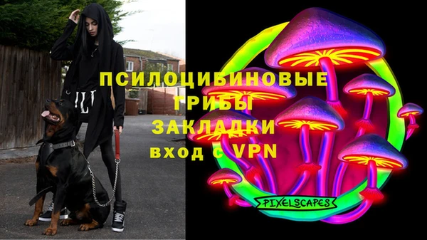 прущий лед Аркадак