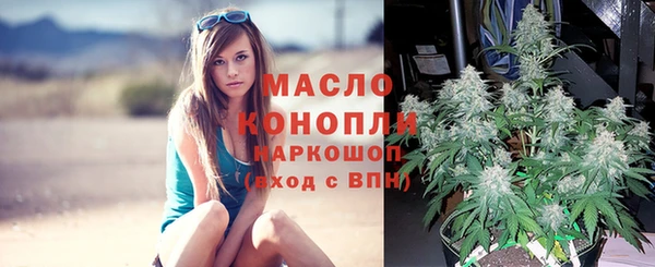 прущий лед Аркадак