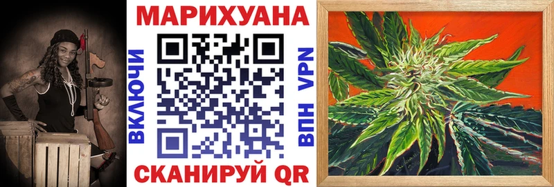 наркошоп  Чудово  Марихуана план 
